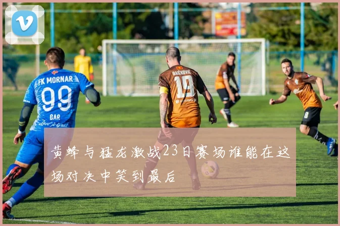 黄蜂与猛龙激战23日赛场谁能在这场对决中笑到最后
