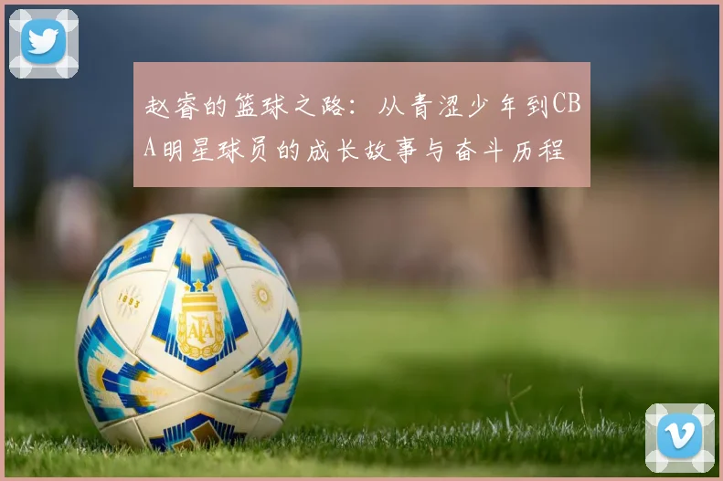 赵睿的篮球之路：从青涩少年到CBA明星球员的成长故事与奋斗历程
