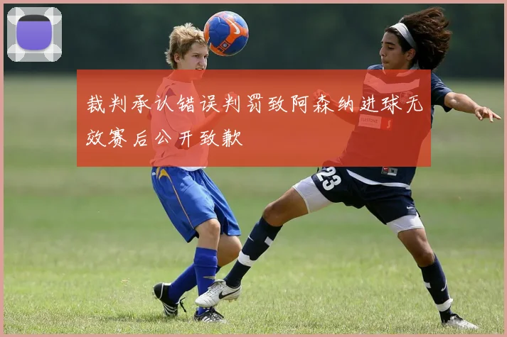 裁判承认错误判罚致阿森纳进球无效赛后公开致歉