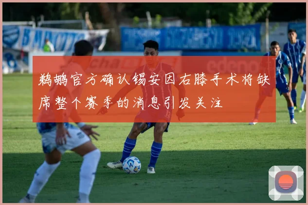 鹈鹕官方确认锡安因右膝手术将缺席整个赛季的消息引发关注