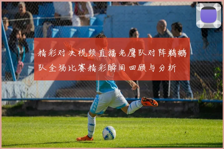 精彩对决视频直播老鹰队对阵鹈鹕队全场比赛精彩瞬间回顾与分析