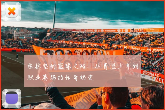 陈林坚的篮球之路：从青涩少年到职业赛场的传奇蜕变