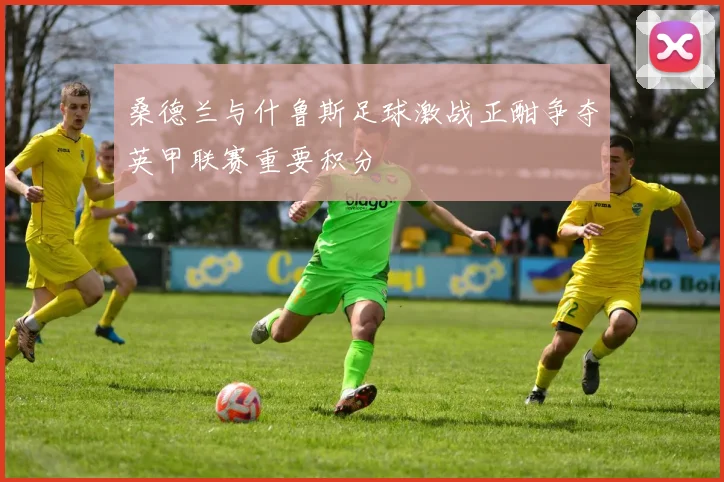 桑德兰与什鲁斯足球激战正酣争夺英甲联赛重要积分