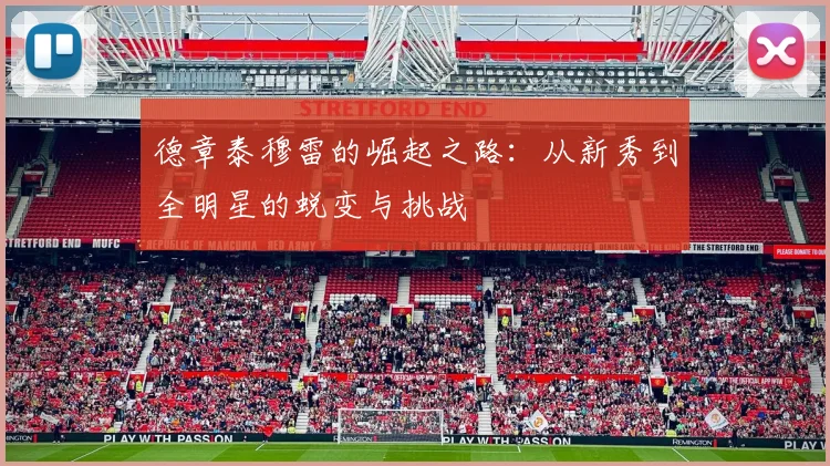 德章泰穆雷的崛起之路：从新秀到全明星的蜕变与挑战