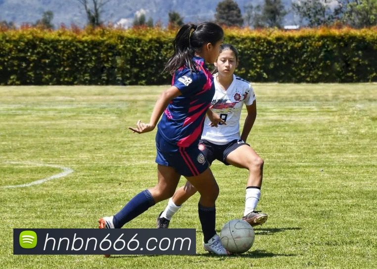 mk体育品牌故事